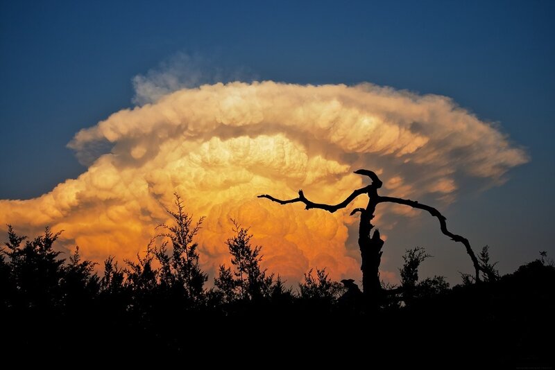 Silhouetted Tree Against Storm Cloud