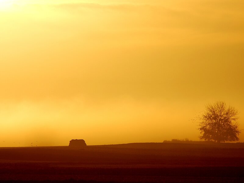 Silhouetted Tree and Bale