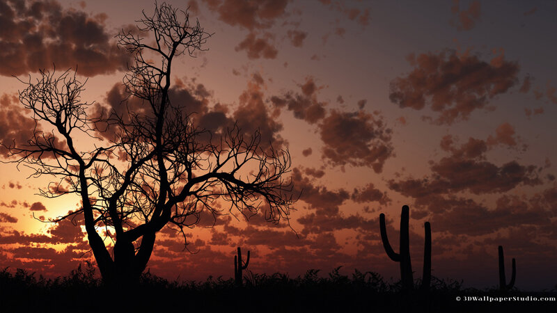 Silhouetted Tree and Cactus — Orange