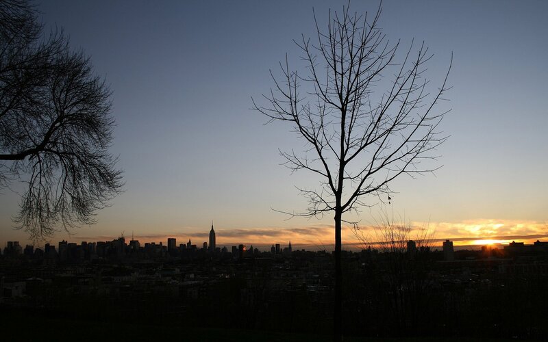 Silhouetted Tree and City — Blue