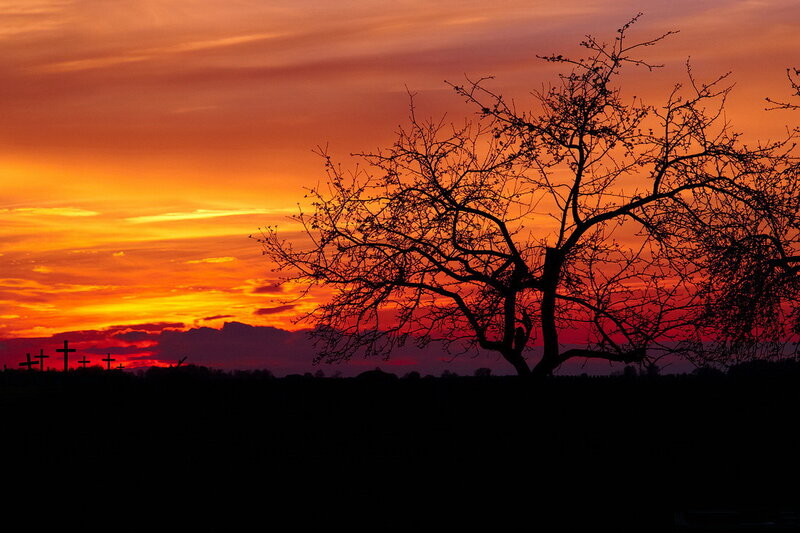 Silhouetted Tree and Crosses