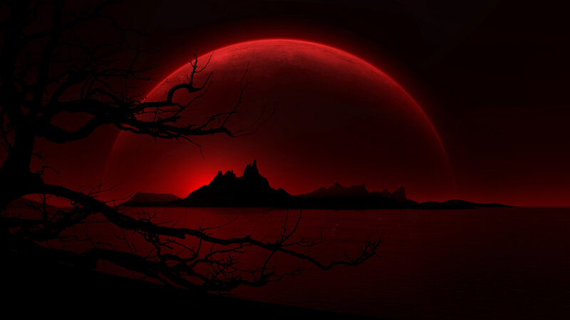 Silhouetted Tree and Island