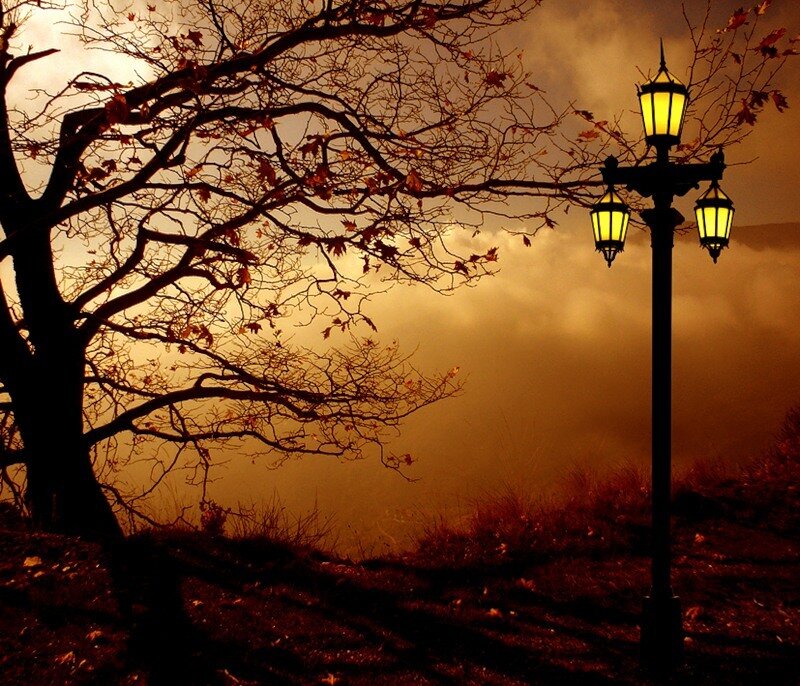 Silhouetted Tree and Lamp Post
