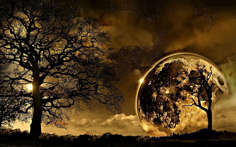 Silhouetted Tree and Moon