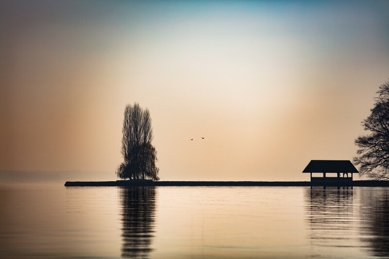 Silhouetted Tree and Pavilion