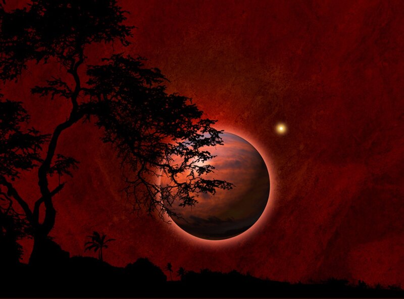Silhouetted Tree and Planet