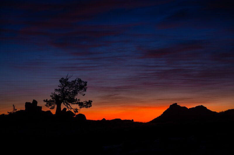 Silhouetted Tree and Rocks — Orange