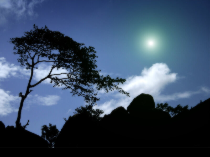 Silhouetted Tree and Rocks