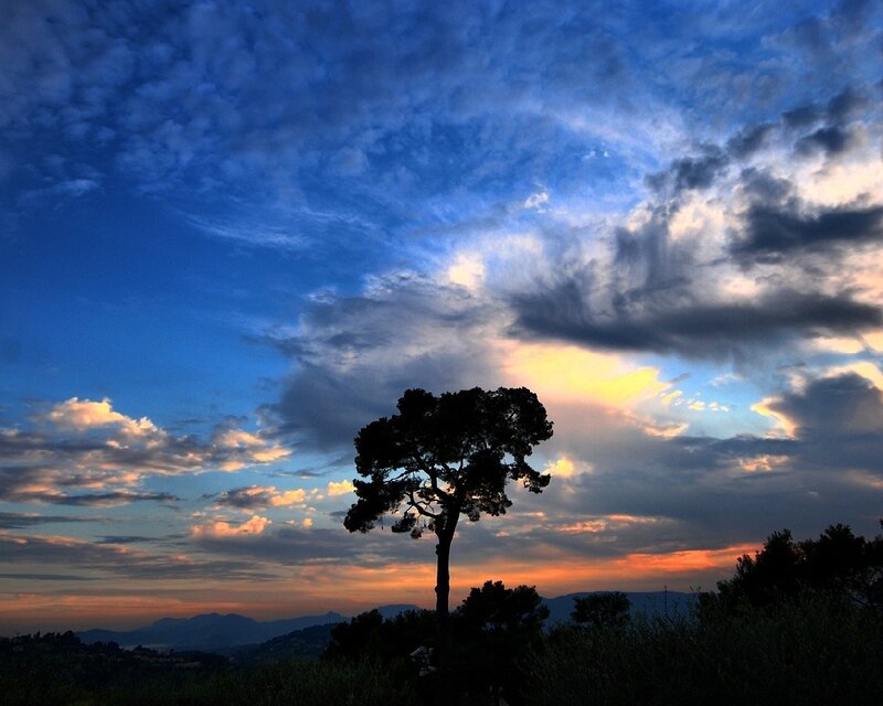 Silhouetted Tree at Dusk — Blue, Dramatic, Sunset, Photograph, Clouds, Mountains