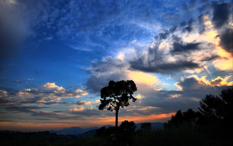 Silhouetted Tree at Dusk — Blue, Dramatic, Sunset