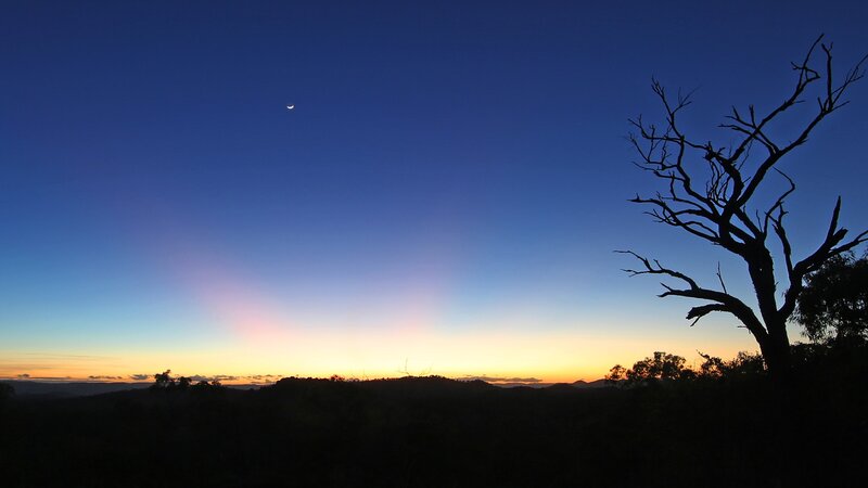 Silhouetted Tree at Dusk — Blue, Serene, Sunset, Photograph, Moon