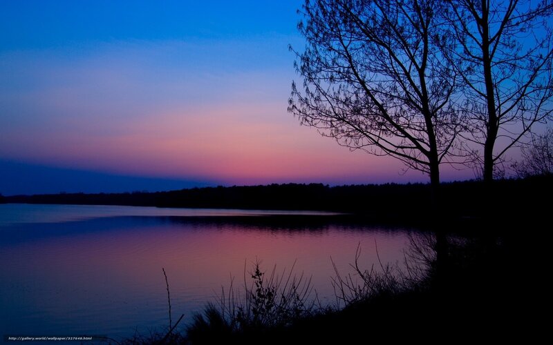 Silhouetted Tree at Dusk — Blue, Serene, Sunset, Photograph