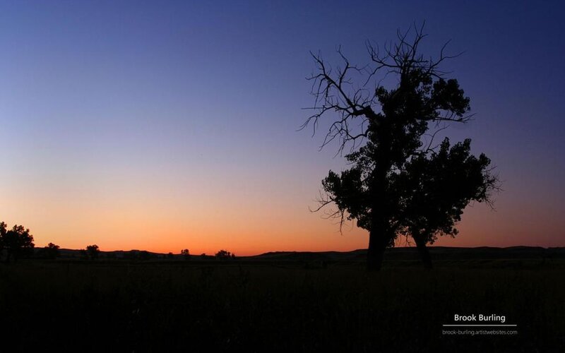 Silhouetted Tree at Dusk — Blue, Serene, Sunset