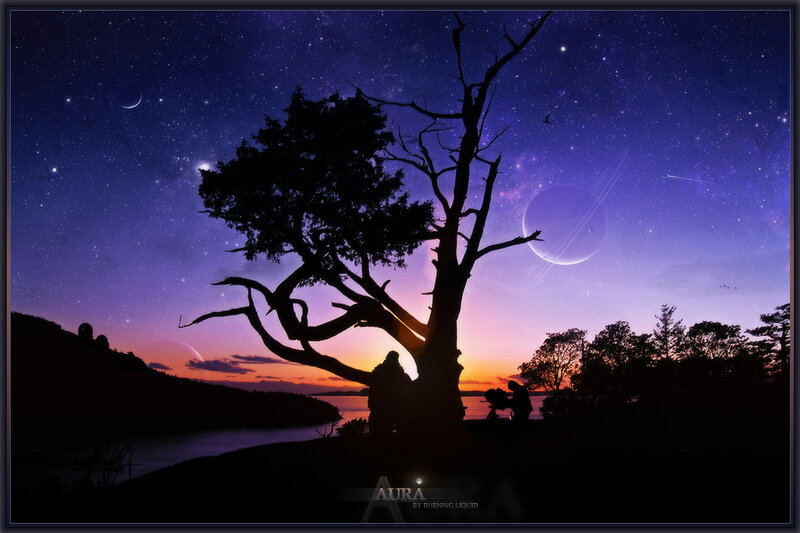 Silhouetted Tree at Dusk — Purple, Serene, Night
