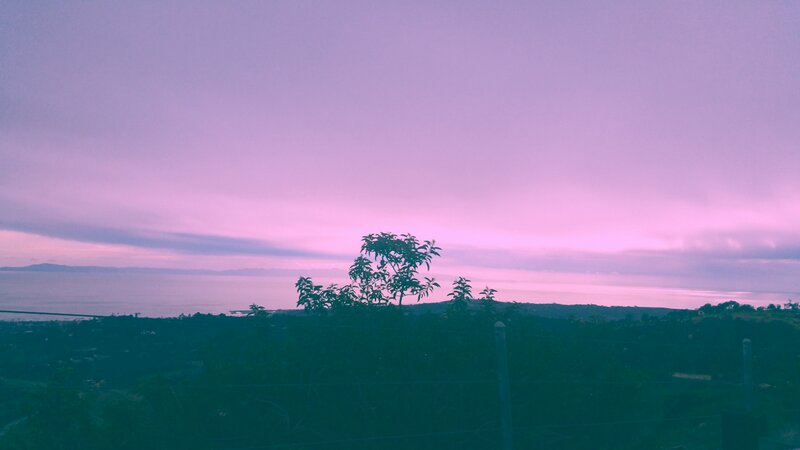 Silhouetted Tree at Dusk — Purple, Serene, Sunset, Photograph, Sea