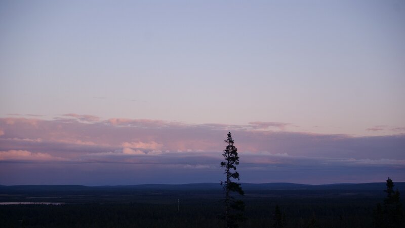 Silhouetted Tree at Dusk — Purple, Serene, Sunset