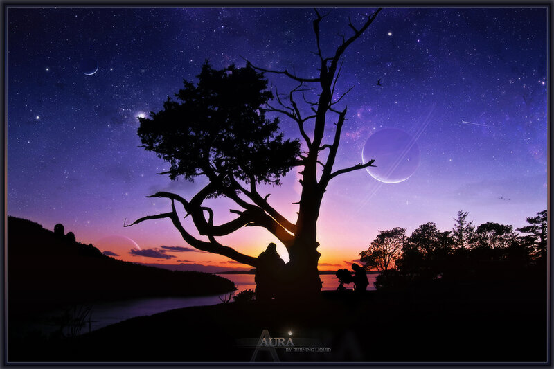 Silhouetted Tree at Dusk — Purple