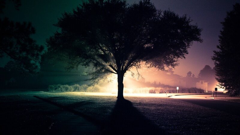 Silhouetted Tree at Night — Black, Dramatic, Photograph, Road