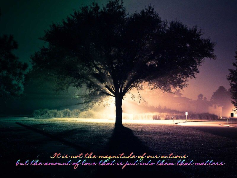 Silhouetted Tree at Night — Black, Dramatic, Photograph