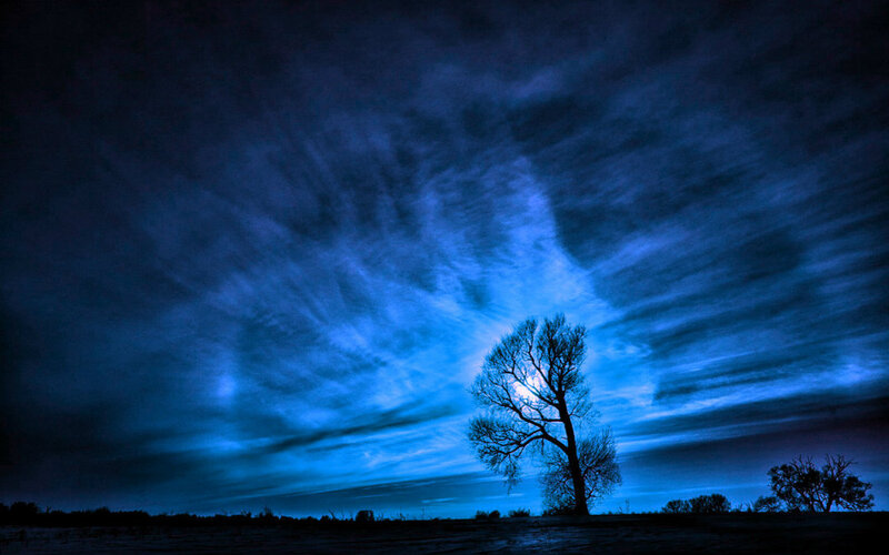 Silhouetted Tree at Night — Blue, Dramatic