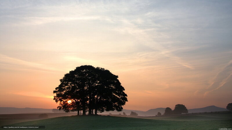 Silhouetted Tree at Sunrise — Orange, Serene, Photograph, Sun, Hills