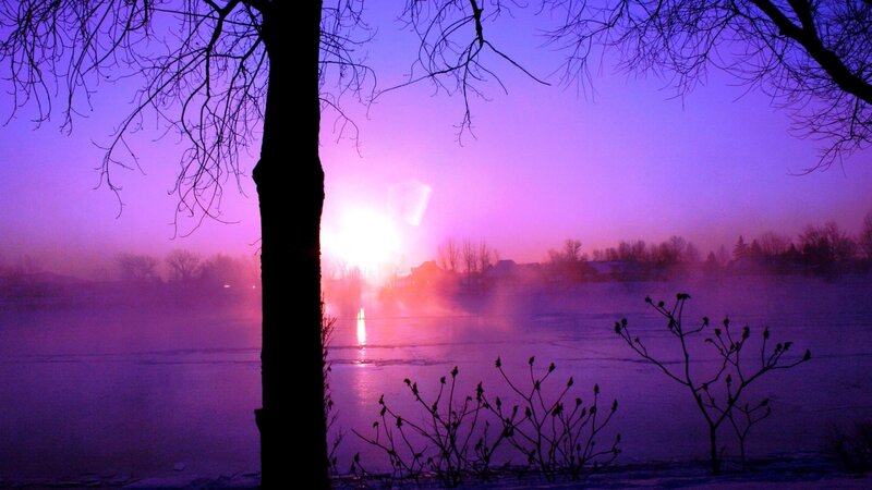 Silhouetted Tree at Sunrise — Purple