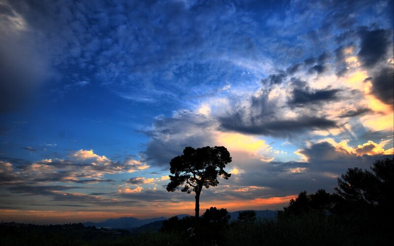 Silhouetted Tree at Sunset — Blue, Dramatic, Photograph, Clouds, Mountains, Sky