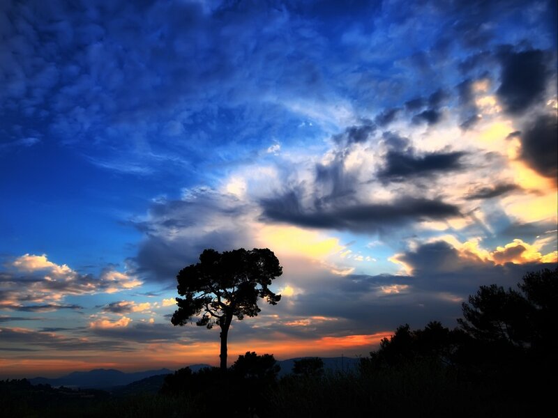 Silhouetted Tree at Sunset — Blue, Dramatic, Photograph, Clouds, Mountains