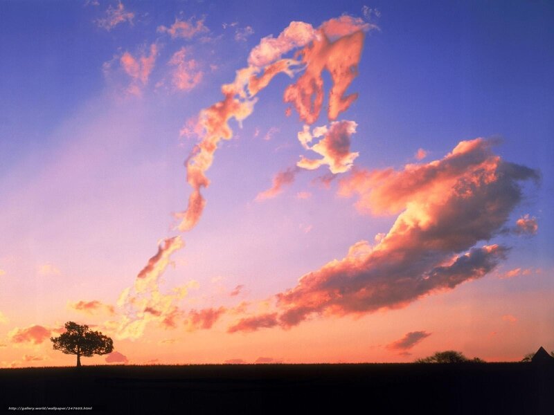 Silhouetted Tree at Sunset — Blue, Dramatic, Photograph, Clouds, Sky
