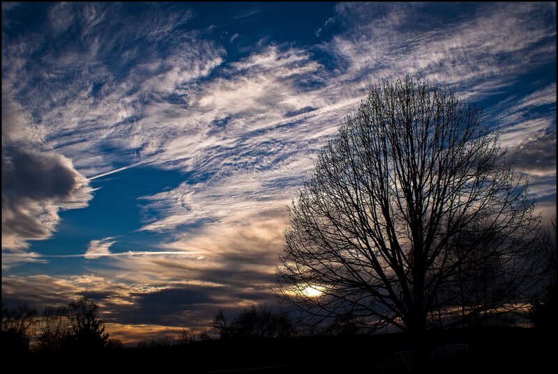 Silhouetted Tree at Sunset — Blue, Dramatic, Photograph, Clouds, Sun