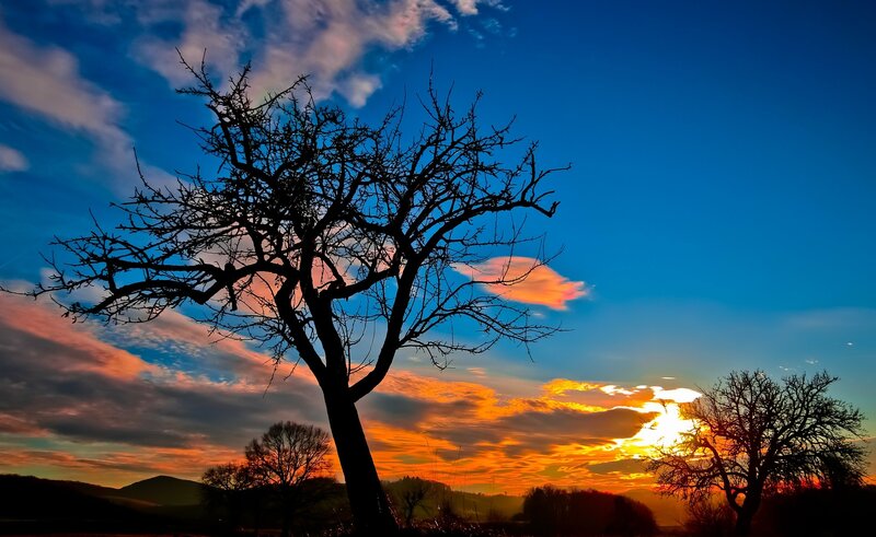 Silhouetted Tree at Sunset — Blue, Dramatic, Photograph, Sky, Clouds, Mountains