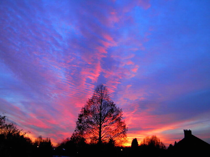 Silhouetted Tree at Sunset — Blue, Dramatic, Photograph