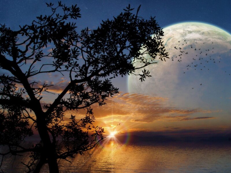 Silhouetted Tree at Sunset — Blue, Serene, Digital Art