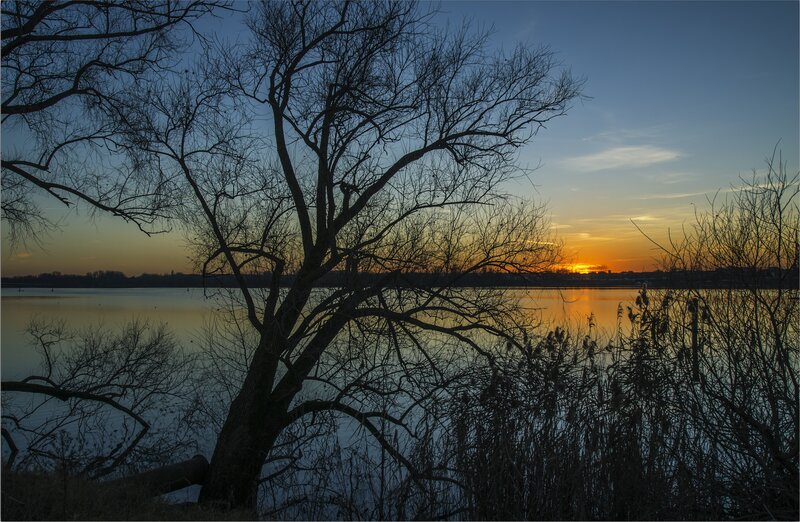 Silhouetted Tree at Sunset — Blue, Serene, Photograph, Lake