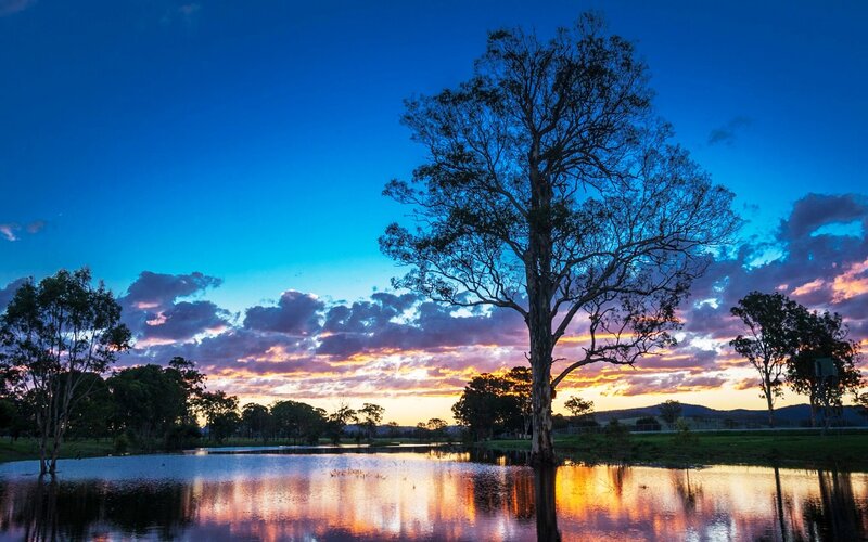 Silhouetted Tree at Sunset — Blue, Serene, Photograph, Pond