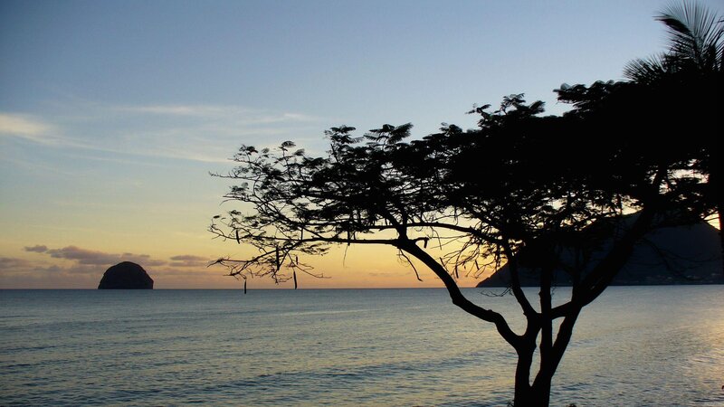 Silhouetted Tree at Sunset — Blue, Serene, Photograph, Sea