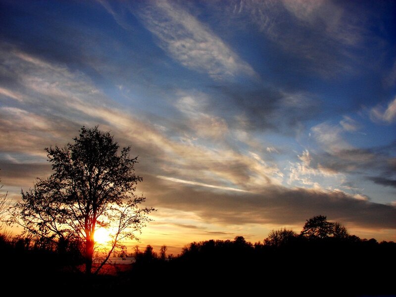 Silhouetted Tree at Sunset — Blue, Serene, Photograph, Sun, Clouds