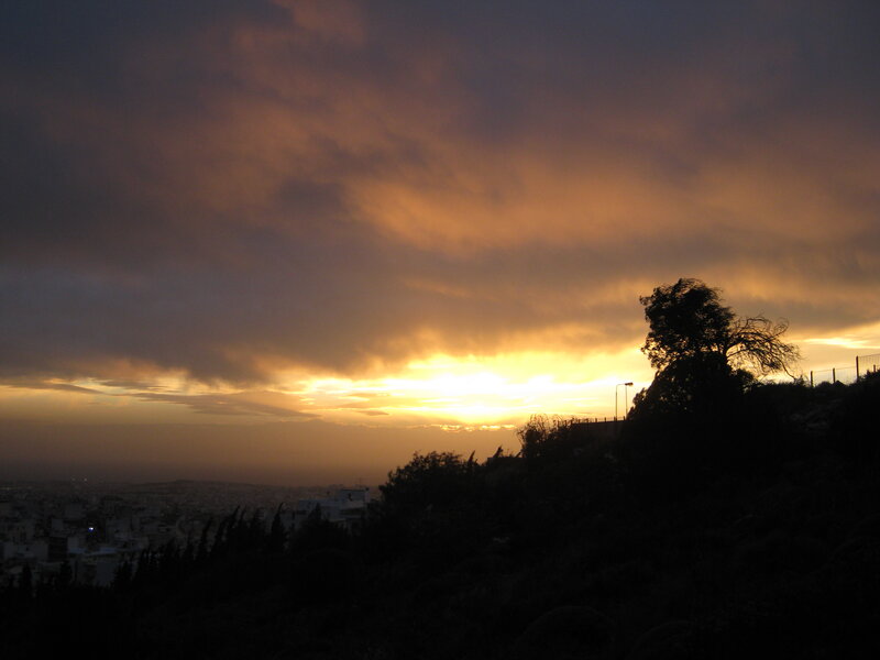 Silhouetted Tree at Sunset — Orange, Dramatic, Photograph, City