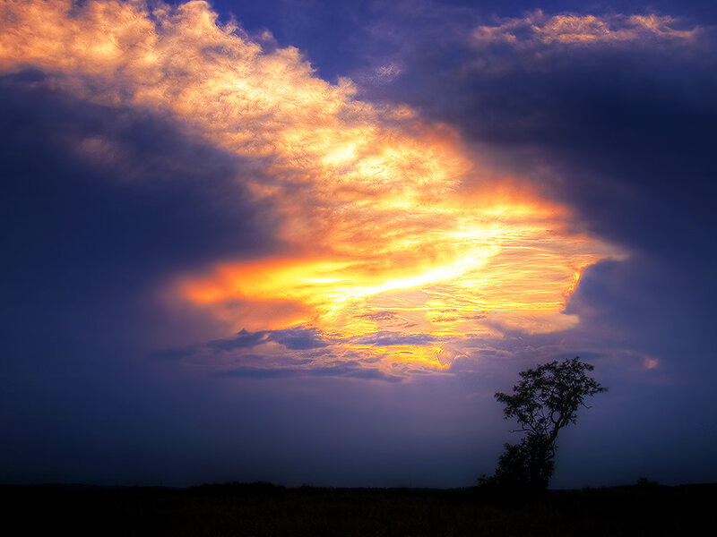 Silhouetted Tree at Sunset — Orange, Dramatic, Photograph, Clouds, Sky
