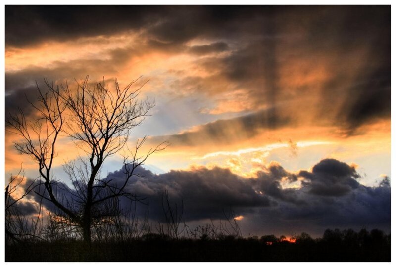 Silhouetted Tree at Sunset — Orange, Dramatic, Photograph, Clouds, Sky, Trees