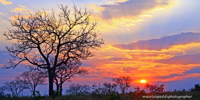 Silhouetted Tree at Sunset — Orange, Dramatic, Photograph, Clouds