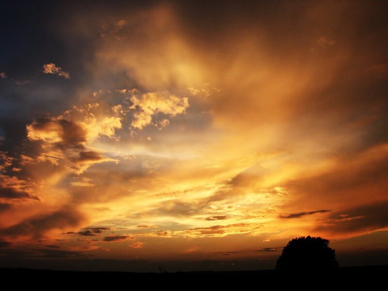 Silhouetted Tree at Sunset — Orange, Dramatic, Photograph, Clouds, Yellow