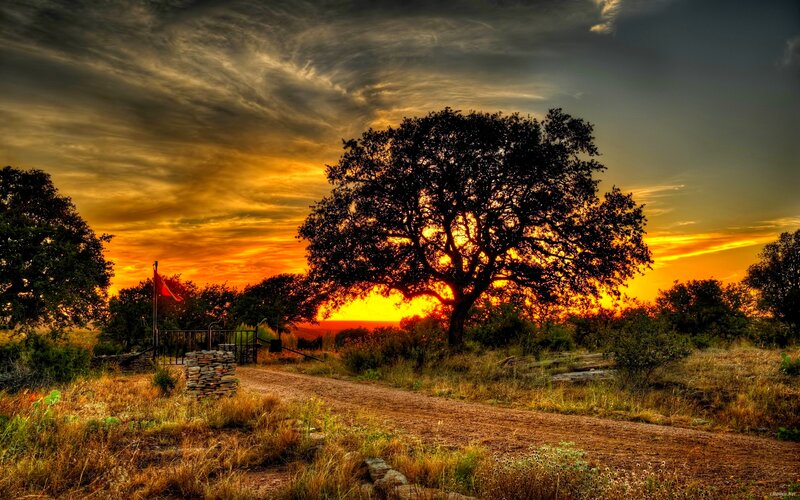 Silhouetted Tree at Sunset — Orange, Dramatic, Photograph, Dirt Road