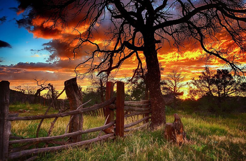 Silhouetted Tree at Sunset — Orange, Dramatic, Photograph, Fence, Sky, Grass