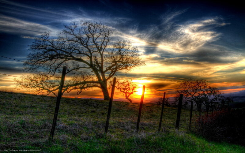 Silhouetted Tree at Sunset — Orange, Dramatic, Photograph, Fence, Sky, Hills