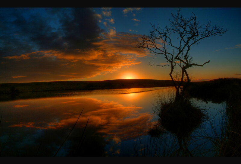 Silhouetted Tree at Sunset — Orange, Dramatic, Photograph, Lake, Sky