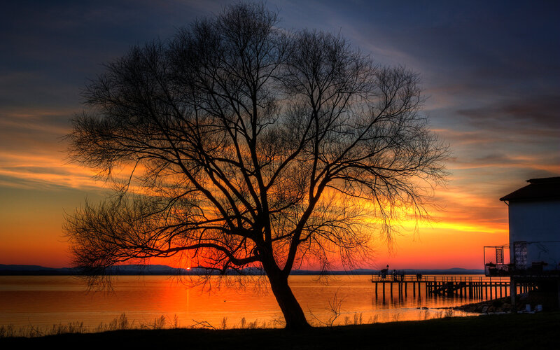 Silhouetted Tree at Sunset — Orange, Dramatic, Photograph, Lake