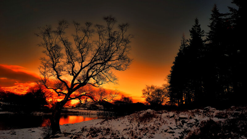 Silhouetted Tree at Sunset — Orange, Dramatic, Photograph, River, Snow