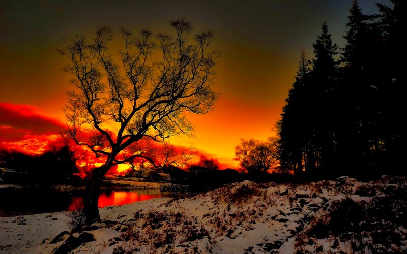 Silhouetted Tree at Sunset — Orange, Dramatic, Photograph, River
