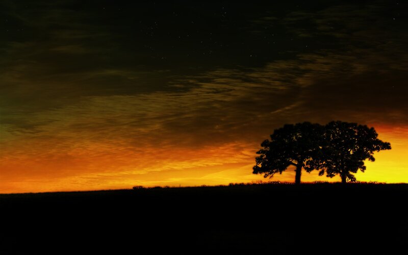 Silhouetted Tree at Sunset — Orange, Dramatic, Photograph, Sky, Clouds, Horizon, Black
